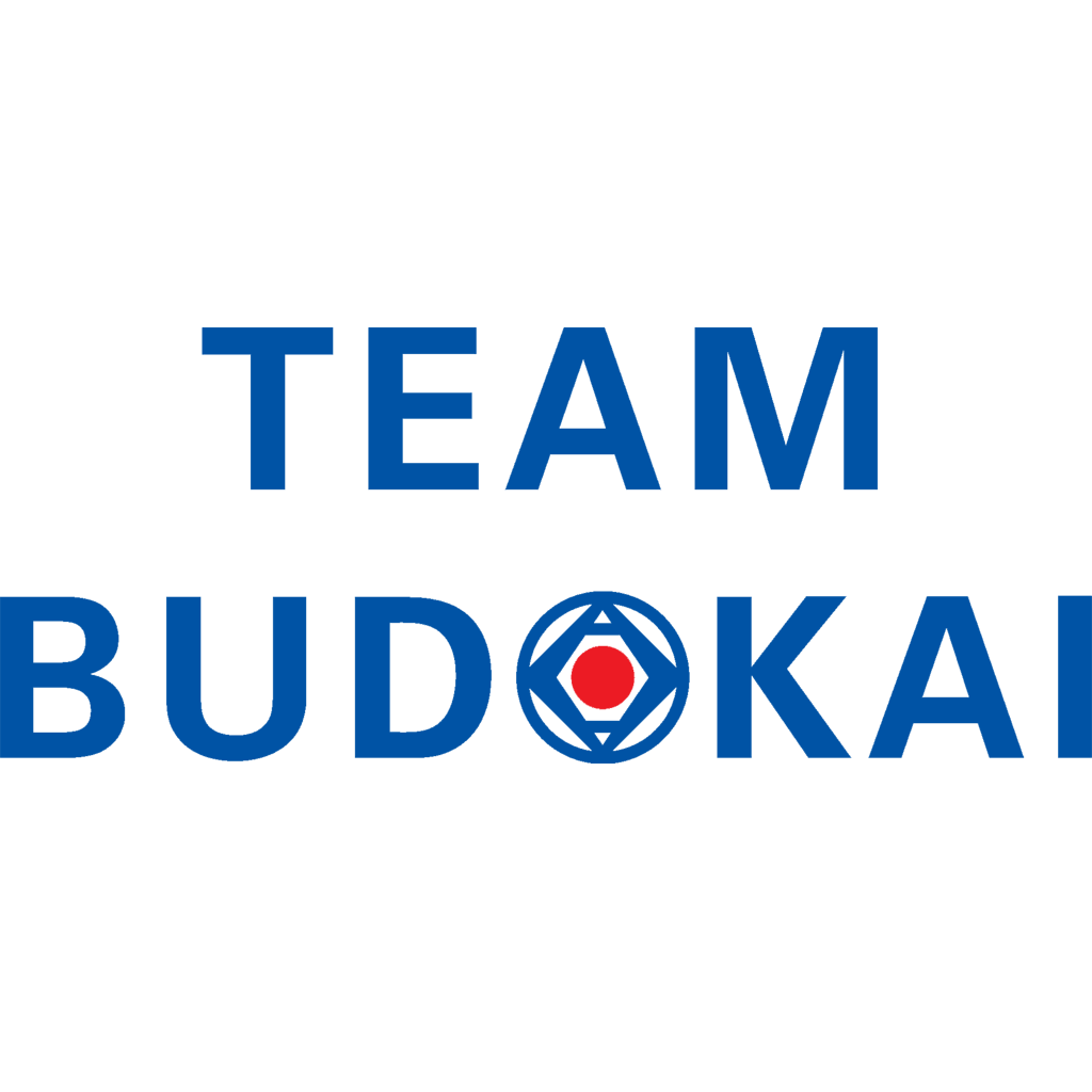 Team Budokai